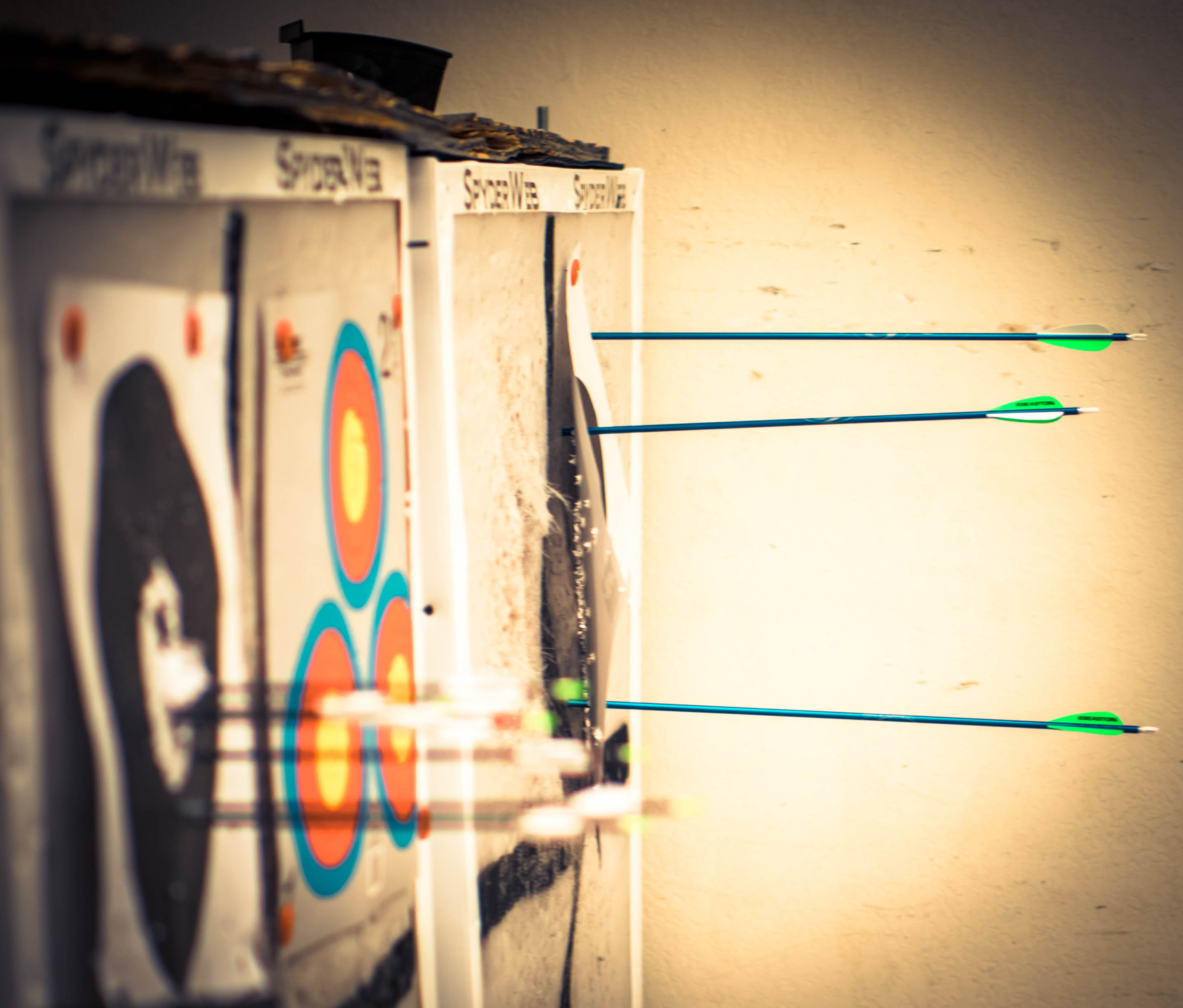 Wildcat Archery Club Aims to Promote Sport UANews