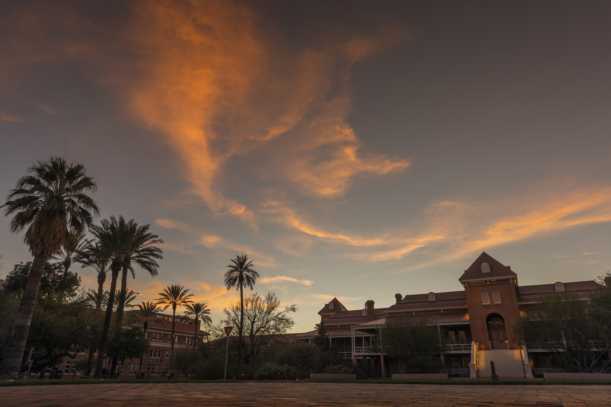 Nearly $4M in federal grants will help UArizona institute expand resources for LGBTQ+ youth - Vimarsana News