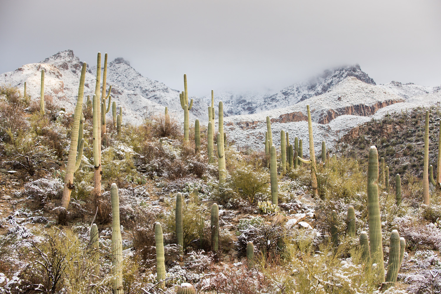 UA researchers who have investigated human responses to climate, whether it be extremely high or low temperatures, say adaptability comes with time. "It's a very complex balance between adaptation and environmental stimulus. The trigger that sets the kind