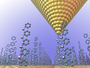 (Click to enlarge) A "forest" of molecules holds the promise of turning waste heat into electricity. UA physicists discovered that because of quantum effects, electron waves traveling along the backbone of each molecule interfere with each other, leading to the buildup of a voltage between the hot and cold electrodes (the golden structures on the bottom and top). (Rendering by Justin Bergfield) (Click to enlarge) A "forest" of molecules holds the promise of turning waste heat into electricity. UA physicists discovered that because of quantum effects, electron waves traveling along the backbone of each molecule interfere with each other, leading to the buildup of a voltage between the hot and cold electrodes (the golden structures on the bottom and top). (Rendering by Justin Bergfield)