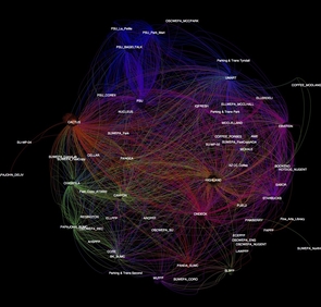 This data visualization shows the traffic patterns of UA freshmen, as told by their CatCard usage, in a select area of campus between 10 a.m. and 2 p.m. on a weekday. (Image courtesy of Sudha Ram) This data visualization shows the traffic patterns of UA freshmen, as told by their CatCard usage, in a select area of campus between 10 a.m. and 2 p.m. on a weekday. (Image courtesy of Sudha Ram)