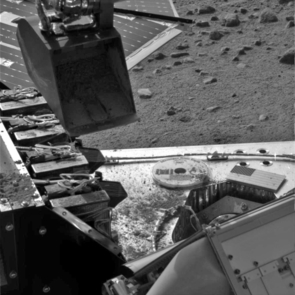 This image taken by the Surface Stereo Imager on NASA's Phoenix Mars Lander shows the lander's Robotic Arm scoop positioned over the Wet Chemistry Lab delivery funnel on Sol 29, the 29th Martian day after landing, or June 24 2008. The soil will be delivered to the instrument on Sol 30.
This image has been enhanced to brighten the scene. This image taken by the Surface Stereo Imager on NASA's Phoenix Mars Lander shows the lander's Robotic Arm scoop positioned over the Wet Chemistry Lab delivery funnel on Sol 29, the 29th Martian day after landing, or June 24 2008. The soil will be delivered to the instrument on Sol 30.
This image has been enhanced to brighten the scene.