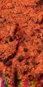 This is the closest view of the material underneath the Phoenix Mars Lander. This sample was taken from the top centimeter of the Martian soil, and this image from the lander's Optical Microscope demonstrates its overall composition.
The soil is mostly composed of fine orange particles, and also contains larger grains, about a tenth of a millimeter in diameter, and of various colors. The soil is sticky. This is the closest view of the material underneath the Phoenix Mars Lander. This sample was taken from the top centimeter of the Martian soil, and this image from the lander's Optical Microscope demonstrates its overall composition.
The soil is mostly composed of fine orange particles, and also contains larger grains, about a tenth of a millimeter in diameter, and of various colors. The soil is sticky.