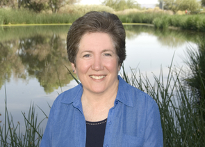 Sharon Megdal says she has been "immersed in water" since becoming director of the UA's Water Resources Research Center in 2002. Sharon Megdal says she has been "immersed in water" since becoming director of the UA's Water Resources Research Center in 2002.