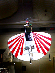 The VTOL plane has a different paint scheme on each side so the RC pilot can determine its orientation when it's in flight. (To see a larger version, click on the image.) The VTOL plane has a different paint scheme on each side so the RC pilot can determine its orientation when it's in flight. (To see a larger version, click on the image.)