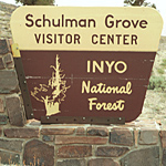 The Ancient Bristlecone Pine Forest is about an hour's drive from Bishop, Calif. The Ancient Bristlecone Pine Forest is about an hour's drive from Bishop, Calif.