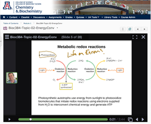 VoiceThread is one of the technologies used by Roger Miesfeld to interact with his online biochemistry students. VoiceThread is one of the technologies used by Roger Miesfeld to interact with his online biochemistry students.