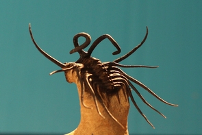 Dicranurus, a trilobite roaming the bottom of a shallow sea separating Euramerica and Gondwana roughly 380 million years ago. Its fossils have been found in Oklahoma and Morocco. (Photo: Flandrau Science Center) Dicranurus, a trilobite roaming the bottom of a shallow sea separating Euramerica and Gondwana roughly 380 million years ago. Its fossils have been found in Oklahoma and Morocco. (Photo: Flandrau Science Center)