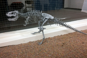 A 3-D dinosaur skeleton is just one of the items “manufactured” in the 4-H Fab Lab. A 3-D dinosaur skeleton is just one of the items “manufactured” in the 4-H Fab Lab.