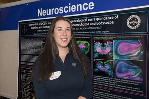Gabriella Wolff, a doctoral student in the Neuroscience GIDP, investigates the evolution of olfactory systems in crustaceans to better inform the study of brain evolution among arthropods. (Photo credit: Mark S. Thaler, BioCommunications/ AHSC) Gabriella Wolff, a doctoral student in the Neuroscience GIDP, investigates the evolution of olfactory systems in crustaceans to better inform the study of brain evolution among arthropods. (Photo credit: Mark S. Thaler, BioCommunications/ AHSC)
