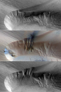 Seasonal activity in a Martian dune: Every year, a seasonal polar cap of condensed carbon dioxide (dry ice) covers dune fields at high latitudes. Spring found the ice changing from solid to gas, causing sand to avalanche down the dune (middle). The following summer, the ice was gone. Instead, wind ripples appeared on the debris apron (bottom). (Credit: NASA/JPL/The University of Arizona) Seasonal activity in a Martian dune: Every year, a seasonal polar cap of condensed carbon dioxide (dry ice) covers dune fields at high latitudes. Spring found the ice changing from solid to gas, causing sand to avalanche down the dune (middle). The following summer, the ice was gone. Instead, wind ripples appeared on the debris apron (bottom). (Credit: NASA/JPL/The University of Arizona)