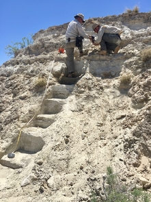 UA professor Vance Holliday (left) and UA doctoral student Brendan Fenerty work on the section of exposed lake deposits at New Mexico's White Sands National Monument. (Photo: Allison S. Harvey/Holloman Air Force Base) UA professor Vance Holliday (left) and UA doctoral student Brendan Fenerty work on the section of exposed lake deposits at New Mexico's White Sands National Monument. (Photo: Allison S. Harvey/Holloman Air Force Base)
