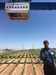 Pedro Andrade-Sanchez, precision agriculture specialist at the Maricopa Agriculture Center, discusses the operation and measurement capabilities of the scanalyzer. (Photo: Susan McGinley) Pedro Andrade-Sanchez, precision agriculture specialist at the Maricopa Agriculture Center, discusses the operation and measurement capabilities of the scanalyzer. (Photo: Susan McGinley)