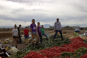 UA students, members of Compost Cats, make pay dirt: Compost returns nutrients and water to Arizona's arid soils, boosting the state's agriculture and gardens. (Photo: Heath Emerson)