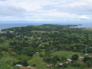 Lake Malawi, one of Africa's Great Lakes, is at 2,316 feet
(706 meters) one of the deepest lakes in the world. Although the lake is surrounded by lush tropical vegetation now, during the megadrought period 135,000 to 90,000 years ago, the region would have been semi-arid, with vegetation similar to Tucson's.
Photo credit: Courtesy of the Lake Malawi Drilling Project
Lake Malawi, one of Africa's Great Lakes, is at 2,316 feet
(706 meters) one of the deepest lakes in the world. Although the lake is surrounded by lush tropical vegetation now, during the megadrought period 135,000 to 90,000 years ago, the region would have been semi-arid, with vegetation similar to Tucson's.
Photo credit: Courtesy of the Lake Malawi Drilling Project