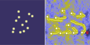These images are from the computer simulations. The white dots on the left show the starting position of the rocks. The image on the right shows the final spacing of the rocks after the simulation has run. The yellow streaks behind the rocks represent the sand piled up behind the rocks by the wind. (Credit: Jon D. Pelletier, The University of Arizona) These images are from the computer simulations. The white dots on the left show the starting position of the rocks. The image on the right shows the final spacing of the rocks after the simulation has run. The yellow streaks behind the rocks represent the sand piled up behind the rocks by the wind. (Credit: Jon D. Pelletier, The University of Arizona)