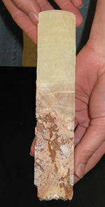 (Click to enlarge) A slice of a stalagmite core before samples are taken from it. The creamy or yellow area upper half of the slice is the region that can be tested to reveal past climate. The reddish, pockmarked region on the bottom half of the slice is the cave-floor rubble the stalagmite started growing on. (Credit: Mari N. Jensen, UA College of Science) (Click to enlarge) A slice of a stalagmite core before samples are taken from it. The creamy or yellow area upper half of the slice is the region that can be tested to reveal past climate. The reddish, pockmarked region on the bottom half of the slice is the cave-floor rubble the stalagmite started growing on. (Credit: Mari N. Jensen, UA College of Science)