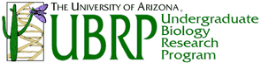 The UA's grant-supported UBRP program allows undergraduates - and some high school students - the chance to conduct original research early in their academic careers. The UA's grant-supported UBRP program allows undergraduates - and some high school students - the chance to conduct original research early in their academic careers.