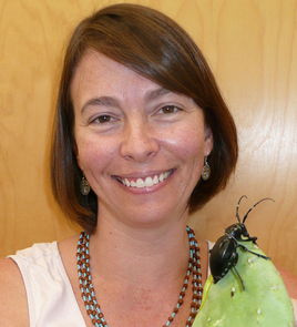 (Click to enlarge) Wendy Moore with a Cactus Longhorn Beetle. This species has fused wing covers, preventing the beetle from flying but helping it retain precious moisture. (Photo by J. Schaller) (Click to enlarge) Wendy Moore with a Cactus Longhorn Beetle. This species has fused wing covers, preventing the beetle from flying but helping it retain precious moisture. (Photo by J. Schaller)