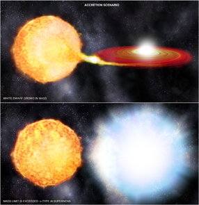 In the second scenario, which is likely the one that triggered the supernova described in this study, gas is being pulled from a sunlike star onto a white dwarf via a red disk. When the amount of material accreted onto the white dwarf causes the weight limit for this star to be exceeded, it explodes as a Type Ia supernova. (Illustration: NASA/CXC/M.Weiss) In the second scenario, which is likely the one that triggered the supernova described in this study, gas is being pulled from a sunlike star onto a white dwarf via a red disk. When the amount of material accreted onto the white dwarf causes the weight limit for this star to be exceeded, it explodes as a Type Ia supernova. (Illustration: NASA/CXC/M.Weiss)