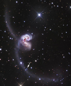 The arrow points to a supernova discovered in a nearby pair of colliding galaxies called the Antennae. The supernova was discovered in the Catalina Real-Time Transient Survey that uses data collected by UA Lunar and Planetary Laboratory observers using telescopes in the Santa Catalina Mountains north of Tucson. Click to enlarge image. The arrow points to a supernova discovered in a nearby pair of colliding galaxies called the Antennae. The supernova was discovered in the Catalina Real-Time Transient Survey that uses data collected by UA Lunar and Planetary Laboratory observers using telescopes in the Santa Catalina Mountains north of Tucson. Click to enlarge image.