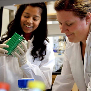 It's an amazing opportunity to be involved in original and ongoing research at one of the nation's top-ranking research institutions, and still only a high school student. Each year, dozens of Arizona high school students are given this chance through the KEYS program. (Photo courtesy of the KEYS program) It's an amazing opportunity to be involved in original and ongoing research at one of the nation's top-ranking research institutions, and still only a high school student. Each year, dozens of Arizona high school students are given this chance through the KEYS program. (Photo courtesy of the KEYS program)