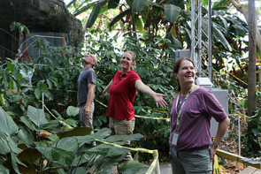 Biosphere 2 research specialist Jason Deleeuw, UArizona assistant professor Laura Meredith, and University of Freiburg postdoctoral fellow Ines Bamberger enjoy the first drops of rain after a two-month rainforest drought. Biosphere 2 research specialist Jason Deleeuw, UArizona assistant professor Laura Meredith, and University of Freiburg postdoctoral fellow Ines Bamberger enjoy the first drops of rain after a two-month rainforest drought.