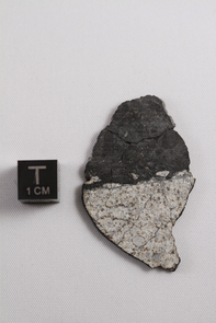 This image shows a meteorite fragment found after a 17-20 meter asteroid disrupted in the atmosphere near Chelyabinsk, Russia on Feb. 15, 2013. It shows a beautiful contact between impact melt (dark material at top of image) and chondritic host (light material at bottom of image). The researchers argue these impact melts were likely created when high-velocity debris from the moon-forming impact hit the parent asteroid of the Chelyabinsk bolide and heated near-surface material. (Photo: Vishnu Reddy) This image shows a meteorite fragment found after a 17-20 meter asteroid disrupted in the atmosphere near Chelyabinsk, Russia on Feb. 15, 2013. It shows a beautiful contact between impact melt (dark material at top of image) and chondritic host (light material at bottom of image). The researchers argue these impact melts were likely created when high-velocity debris from the moon-forming impact hit the parent asteroid of the Chelyabinsk bolide and heated near-surface material. (Photo: Vishnu Reddy)