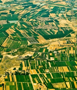 The 30 million hectares of small farms in northern China include a patchwork of fields planted with cotton genetically engineered to produce an insect-killing protein and “refuges” of other crops that do not make such proteins. (Photo: Ming Zhang/Microfotos) The 30 million hectares of small farms in northern China include a patchwork of fields planted with cotton genetically engineered to produce an insect-killing protein and “refuges” of other crops that do not make such proteins. (Photo: Ming Zhang/Microfotos)