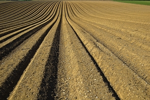 Moisture, such as from soil, is one of three ingredients necessary to create rain. Also needed are an upward motion of air from the earth’s surface into cooler parts of the upper atmosphere, which drier soils are good at facilitating, and a source of water vapor. Moisture, such as from soil, is one of three ingredients necessary to create rain. Also needed are an upward motion of air from the earth’s surface into cooler parts of the upper atmosphere, which drier soils are good at facilitating, and a source of water vapor.