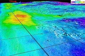 This 3D map superimposes gamma-ray data from Mars Odyssey's Gamma-Ray Spectrometer onto topographic data from the laser altimeter onboard the Mars Global Surveyor. The red arrow indicates the shield volcanoes of Elysium rise in northern Mars, seen obliquely to the southeast. Blue-to-violet colors at the Elysium rise and highlands stretching to the foreground of the map mark areas poor in potassium. Red-to-yellow colors mark potassium-rich sedimentary deposits in lowlands below the Mars Pathfinder landing site (PF) and Viking 1 landing site (V1). This 3D map superimposes gamma-ray data from Mars Odyssey's Gamma-Ray Spectrometer onto topographic data from the laser altimeter onboard the Mars Global Surveyor. The red arrow indicates the shield volcanoes of Elysium rise in northern Mars, seen obliquely to the southeast. Blue-to-violet colors at the Elysium rise and highlands stretching to the foreground of the map mark areas poor in potassium. Red-to-yellow colors mark potassium-rich sedimentary deposits in lowlands below the Mars Pathfinder landing site (PF) and Viking 1 landing site (V1).