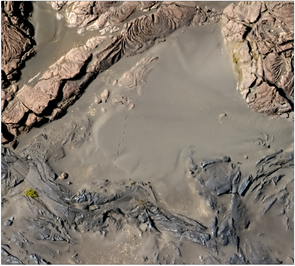 A high-resolution orthophoto of the margin of the December 1974 flow. If you look carefully, you can see footprints in the sand leading away from the edge of the lava flow. (Image: Stephen Scheidt) A high-resolution orthophoto of the margin of the December 1974 flow. If you look carefully, you can see footprints in the sand leading away from the edge of the lava flow. (Image: Stephen Scheidt)