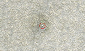 (Click to enlarge) The HiRISE camera on NASA's Mars Reconnaissance Orbiter took this image of the Phoenix Mars Lander on its frost-free site on the northern plains of Mars in June 2008. Although the soil surrounding the lander appears much brighter than the frost-covered surface in the July 2009 image, the frost-free soil is actually darker. The brightness and darkness of the surfaces in the two photos is a result of how the images are processed. The frost picture was "stretched" to heighten contrast, so frost-covered soil appears darker. (Click to enlarge) The HiRISE camera on NASA's Mars Reconnaissance Orbiter took this image of the Phoenix Mars Lander on its frost-free site on the northern plains of Mars in June 2008. Although the soil surrounding the lander appears much brighter than the frost-covered surface in the July 2009 image, the frost-free soil is actually darker. The brightness and darkness of the surfaces in the two photos is a result of how the images are processed. The frost picture was "stretched" to heighten contrast, so frost-covered soil appears darker.