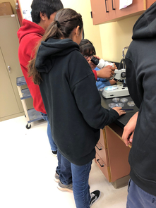 Some samples are shipped to laboratories at the University of Arizona for analyses that can take two to six weeks, depending on the sample type. Lab results are returned to the individual student in a sealed envelope describing the amount of contaminant at the house and ways to reduce it. (Courtesy of the Hopi Tribe) Some samples are shipped to laboratories at the University of Arizona for analyses that can take two to six weeks, depending on the sample type. Lab results are returned to the individual student in a sealed envelope describing the amount of contaminant at the house and ways to reduce it. (Courtesy of the Hopi Tribe)