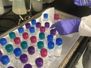 Researchers took extra precautions to develop an end product of the highest quality. Researchers took extra precautions to develop an end product of the highest quality.