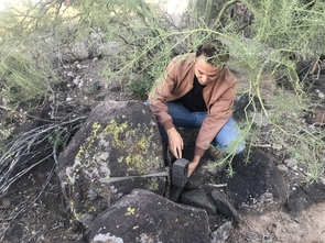 Student researcher Humberto Gurrola checks on a wildlife camera placed on Tumamoc Hill to monitor animal diversity. (Photo: Rachel Abraham) Student researcher Humberto Gurrola checks on a wildlife camera placed on Tumamoc Hill to monitor animal diversity. (Photo: Rachel Abraham)