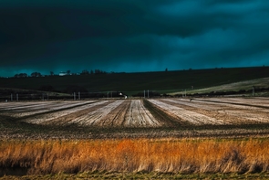 Welty and Zeng's research showed that morning soil moisture can affect afternoon rain accumulations over the Southern Great Plains during the warm season, and the impact differs based on atmospheric conditions Welty and Zeng's research showed that morning soil moisture can affect afternoon rain accumulations over the Southern Great Plains during the warm season, and the impact differs based on atmospheric conditions