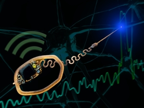 The device uses light to record individual neurons. (Photo: College of Engineering) The device uses light to record individual neurons. (Photo: College of Engineering)