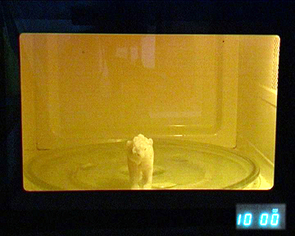 A polar bear popsicle, or 'polarsicle,' created from a mold made by fine arts graduate student Chika Matsuda, awaits its fate in a microwave oven. Matsuda will dispense polarsicles at the Biosphere 2 Earth Day Festival as an activity to provoke 'fast food for thought' about global warming. A polar bear popsicle, or 'polarsicle,' created from a mold made by fine arts graduate student Chika Matsuda, awaits its fate in a microwave oven. Matsuda will dispense polarsicles at the Biosphere 2 Earth Day Festival as an activity to provoke 'fast food for thought' about global warming.