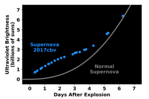 Smoking gun: Unlike "regular" supernovae, whose change in ultraviolet brightness follows the gray curve, this one increased in brightness faster over the first two days, before slowing down (blue curve). This bump in the light curve likely reflects the slamming of material from the exploding white dwarf into a companion star. (Credit: Griffin Hosseinzadeh) Smoking gun: Unlike "regular" supernovae, whose change in ultraviolet brightness follows the gray curve, this one increased in brightness faster over the first two days, before slowing down (blue curve). This bump in the light curve likely reflects the slamming of material from the exploding white dwarf into a companion star. (Credit: Griffin Hosseinzadeh)