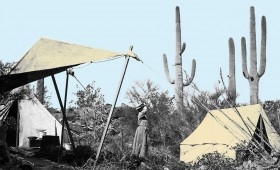 Botanist and plant pathologist Effie (Southworth) Spalding worked at the Desert Botanical Laboratory of the Carnegie Institute, now known as Tumamoc Hill. Among UA events honoring Arizona's 100th birthday, the College of Science is hosting an open house at Tumamoc Hill Jan. 21, 22, 28 and 29. Each day is free and open to the public and will feature music and presentations. Botanist and plant pathologist Effie (Southworth) Spalding worked at the Desert Botanical Laboratory of the Carnegie Institute, now known as Tumamoc Hill. Among UA events honoring Arizona's 100th birthday, the College of Science is hosting an open house at Tumamoc Hill Jan. 21, 22, 28 and 29. Each day is free and open to the public and will feature music and presentations.
