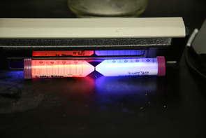 A closeup of the fluorescing nanomaterials Janczak and Aspinwall developed. (Photo: Paul Tumarkin/Tech Launch Arizona) A closeup of the fluorescing nanomaterials Janczak and Aspinwall developed. (Photo: Paul Tumarkin/Tech Launch Arizona)
