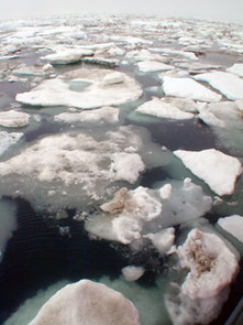 Melting Arctic sea ice. Photo credit: Peter West, National Science Foundation Melting Arctic sea ice is some evidence that climate is changing. (Photo: NSF)