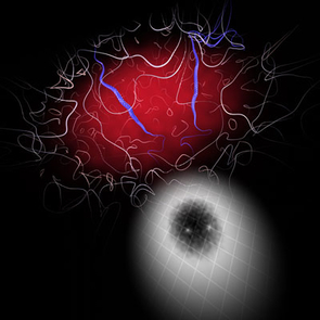 A numerical simulation shows the presence of two prominent vortices, shown in blue, that spontaneously appear in a condensate, shown in red, with other smaller vortices near the boundary of the BEC. The area below the three-dimensional rendering shows what an image of this BEC might look like in an actual experiment, where a laser beam, the white region, shines on a BEC, and the BEC casts a shadow, the dark region, with two bright spots indicating the two main vortices. The grayscale here is reversed from the grayscale used to show the actual experimental images. A numerical simulation shows the presence of two prominent vortices, shown in blue, that spontaneously appear in a condensate, shown in red, with other smaller vortices near the boundary of the BEC. The area below the three-dimensional rendering shows what an image of this BEC might look like in an actual experiment, where a laser beam, the white region, shines on a BEC, and the BEC casts a shadow, the dark region, with two bright spots indicating the two main vortices. The grayscale here is reversed from the grayscale used to show the actual experimental images.