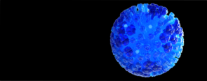 3D computer-generated rendering of a whole influenza (flu) virus. Our immune response is triggered by the virus’ hemagglutinin (HA) and neuraminidase (NA) surface proteins, shown in semi-transparent blue. (Illustration by Dan Higgins, courtesy of Douglas Jordan/CDC) 3D computer-generated rendering of a whole influenza (flu) virus. Our immune response is triggered by the virus’ hemagglutinin (HA) and neuraminidase (NA) surface proteins, shown in semi-transparent blue. (Illustration by Dan Higgins, courtesy of Douglas Jordan/CDC)