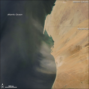 Dust Plumes off Western Africa - Plumes of Saharan dust blew off the west coast of Africa on November 9, 2007. The Moderate Resolution Imaging Spectroradiometer (MODIS) on NASA’s Aqua satellite took this picture the same day. In this image, the dust plumes appear as translucent blurs blowing westward over the Atlantic, many of them curving in a clockwise direction. Aside from the dust, skies are clear over the region, giving a sharp view of western Africa’s arid landscape.A day later, dust lingered over Cape Verde. (Photo: NASA image courtesy Jeff Schmaltz, MODIS Land Rapid Response Team, Goddard Space Flight Center)
Dust Plumes off Western Africa - Plumes of Saharan dust blew off the west coast of Africa on November 9, 2007. The Moderate Resolution Imaging Spectroradiometer (MODIS) on NASA’s Aqua satellite took this picture the same day. In this image, the dust plumes appear as translucent blurs blowing westward over the Atlantic, many of them curving in a clockwise direction. Aside from the dust, skies are clear over the region, giving a sharp view of western Africa’s arid landscape.A day later, dust lingered over Cape Verde. (Photo: NASA image courtesy Jeff Schmaltz, MODIS Land Rapid Response Team, Goddard Space Flight Center)