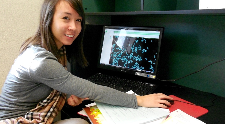 Ua honors application picture