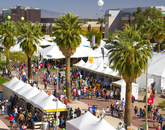 More than 130,000 people attended the Tucson Festival of Books. More than 130,000 people attended the Tucson Festival of Books.