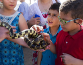 Yousif Mustafa and Yousif Darweesh with a friendly king snake Yousif Mustafa and Yousif Darweesh with a friendly king snake