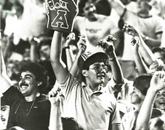 Arizona Stadium fans cheer on their Wildcats. Arizona Stadium fans cheer on their Wildcats.